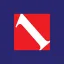 Builders FirstSource Inc