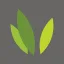 Ironwood Pharmaceuticals