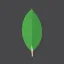 MongoDB Inc