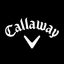Topgolf Callaway Brands