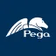 Pegasystems Inc