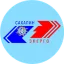 Сахалинэнерго