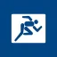WESCO International Inc