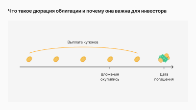 Что такое дюрация облигации и почему она важна для инвестора